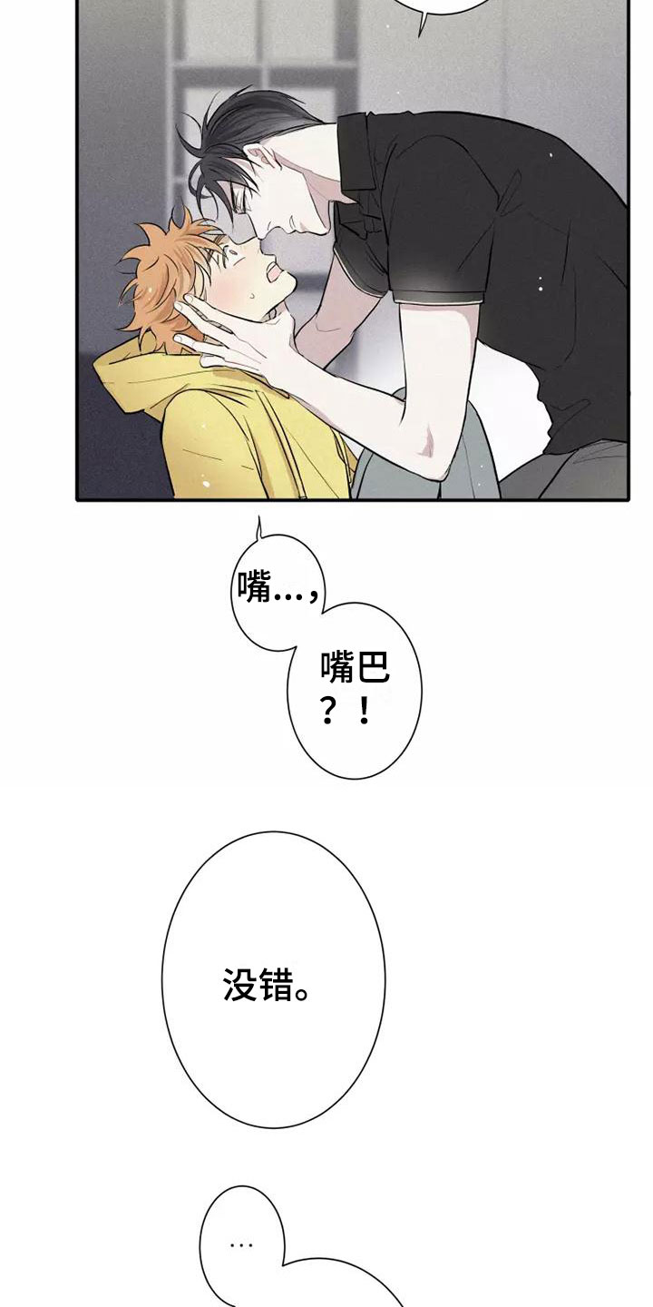 《念念不忘》漫画最新章节第5章： 初吻免费下拉式在线观看章节第【18】张图片