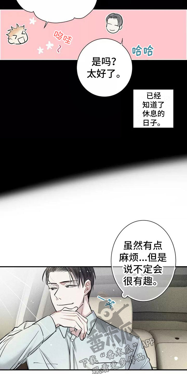 《念念不忘》漫画最新章节第12章：有趣的笨蛋免费下拉式在线观看章节第【3】张图片