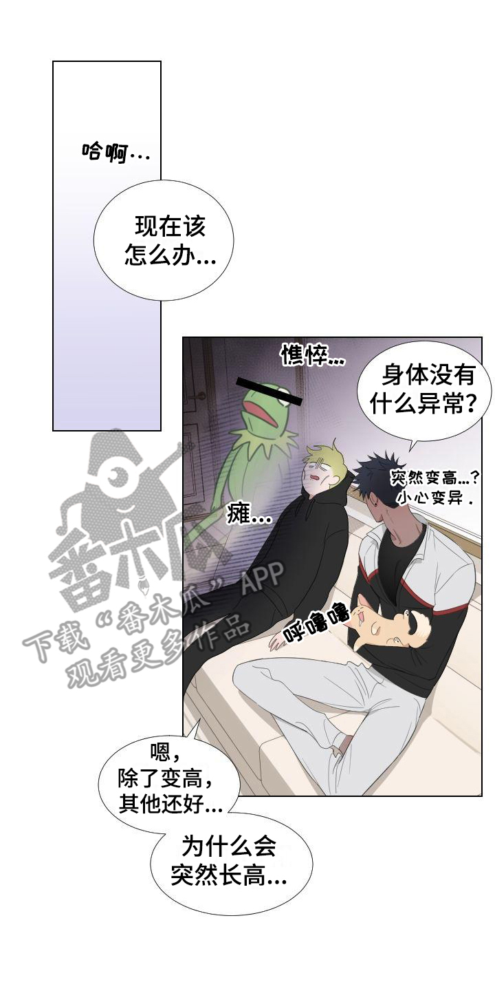 《梅之恋》漫画最新章节第5章：怂恿免费下拉式在线观看章节第【11】张图片