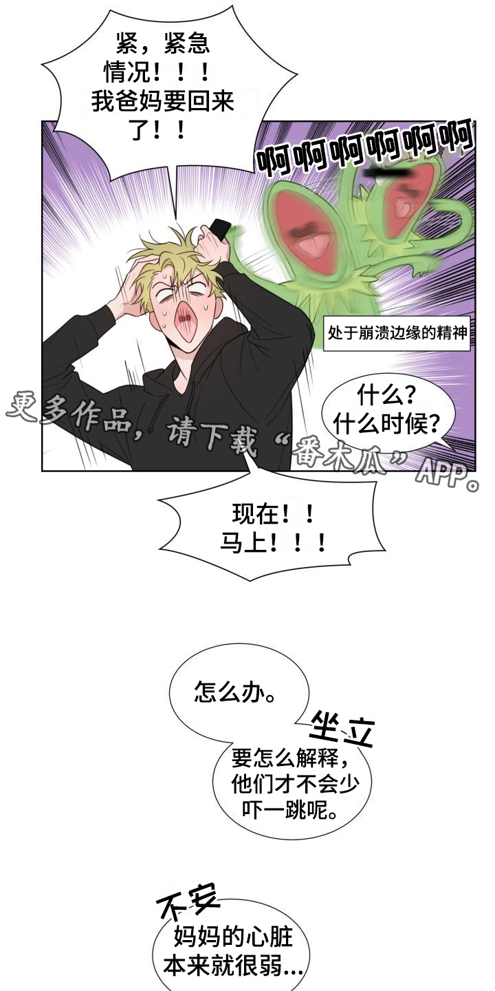 《梅之恋》漫画最新章节第5章：怂恿免费下拉式在线观看章节第【8】张图片