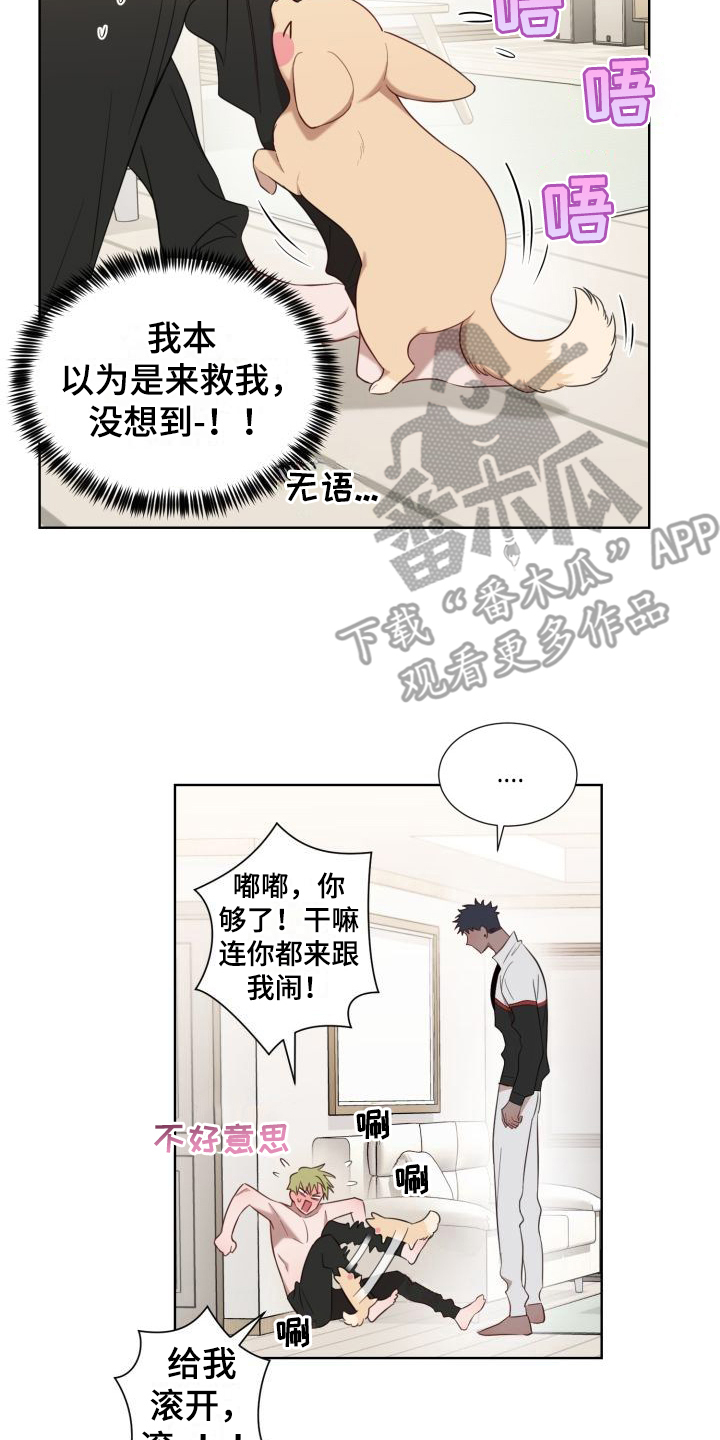 《梅之恋》漫画最新章节第5章：怂恿免费下拉式在线观看章节第【17】张图片