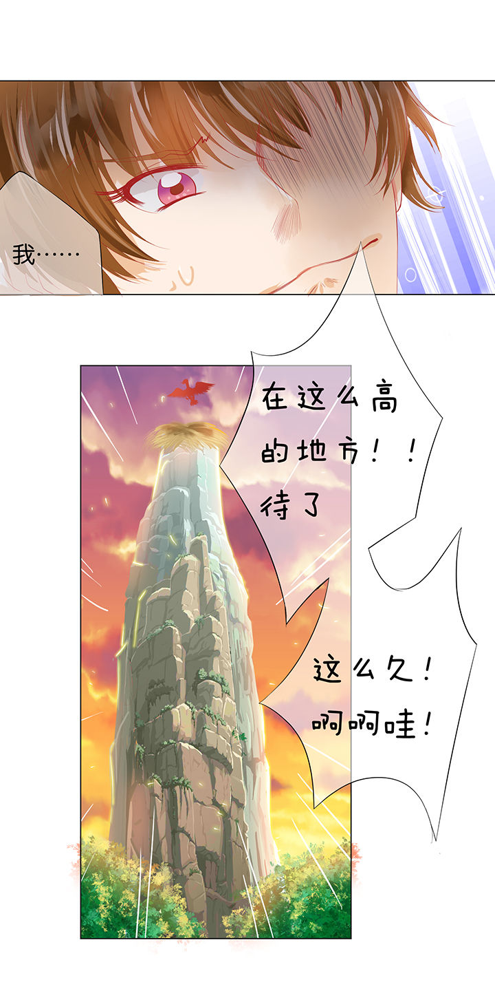 《哎哟我去，穿了个越》漫画最新章节第6章：免费下拉式在线观看章节第【1】张图片