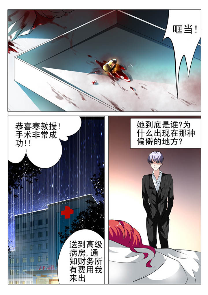 《豪门刺客》漫画最新章节第11章：免费下拉式在线观看章节第【3】张图片