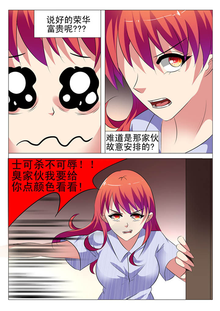 《豪门刺客》漫画最新章节第17章：免费下拉式在线观看章节第【3】张图片