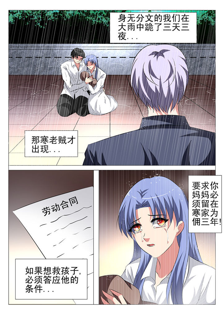 《豪门刺客》漫画最新章节第41章：免费下拉式在线观看章节第【12】张图片