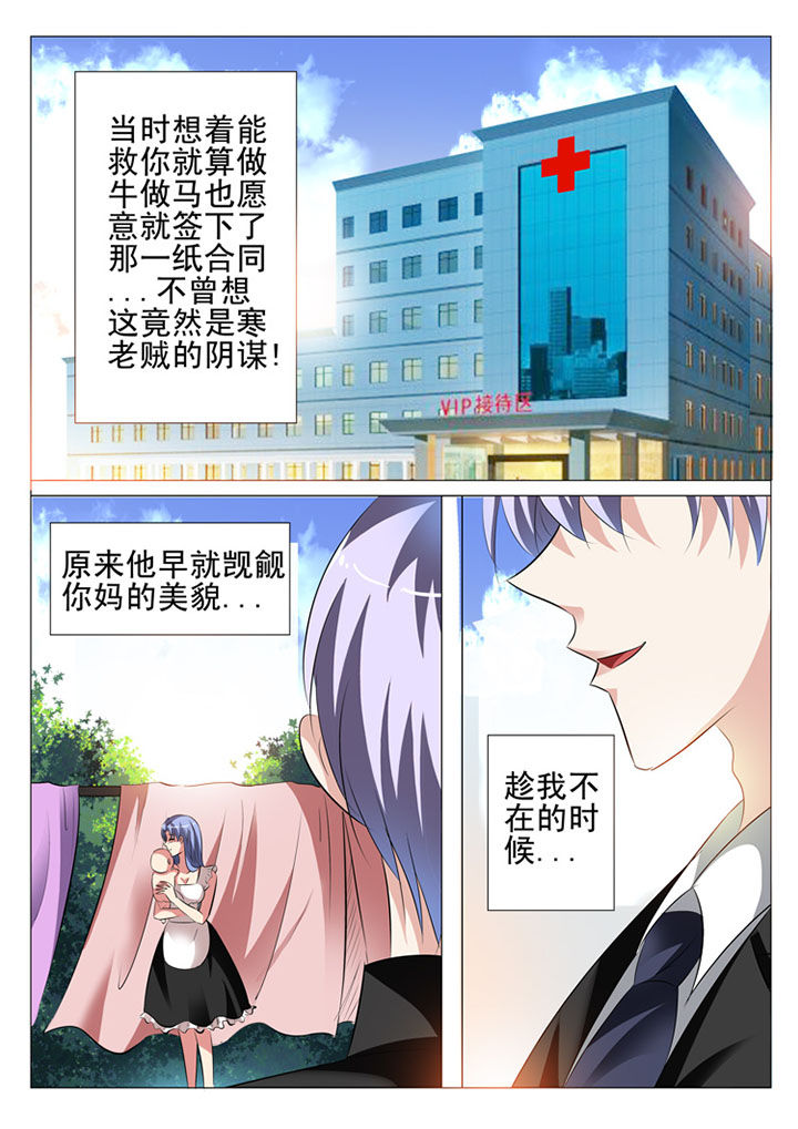 《豪门刺客》漫画最新章节第41章：免费下拉式在线观看章节第【11】张图片