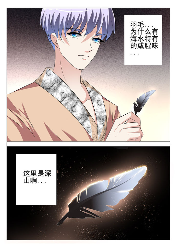 《豪门刺客》漫画最新章节第58章：免费下拉式在线观看章节第【17】张图片