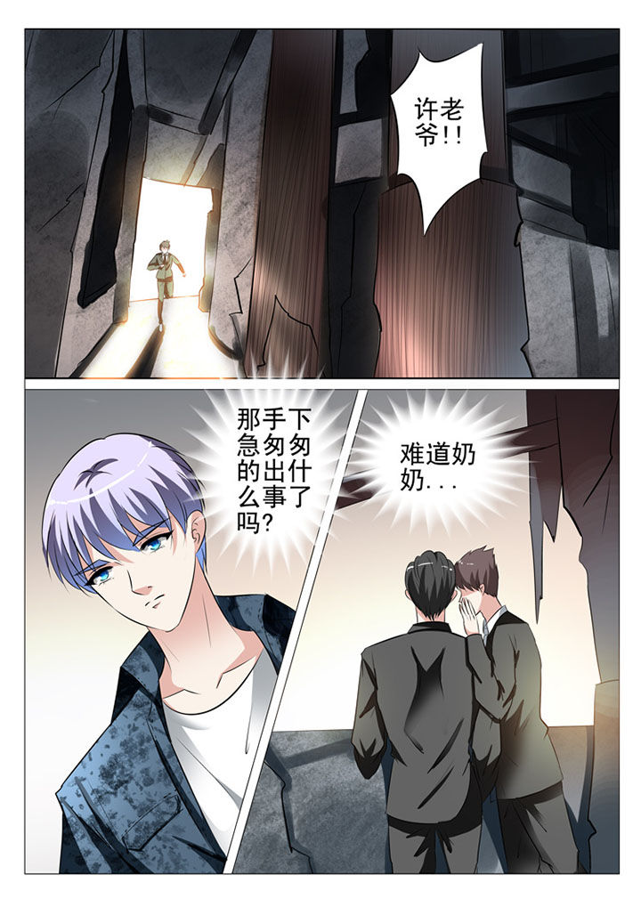 《豪门刺客》漫画最新章节第77章：免费下拉式在线观看章节第【10】张图片