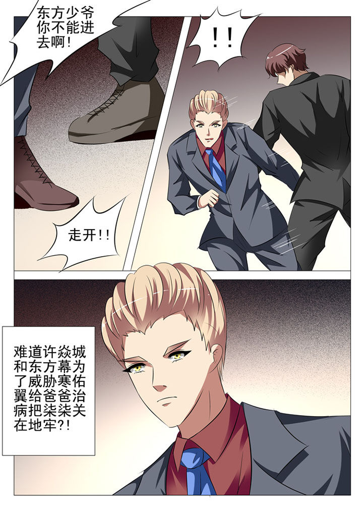 《豪门刺客》漫画最新章节第81章：免费下拉式在线观看章节第【5】张图片