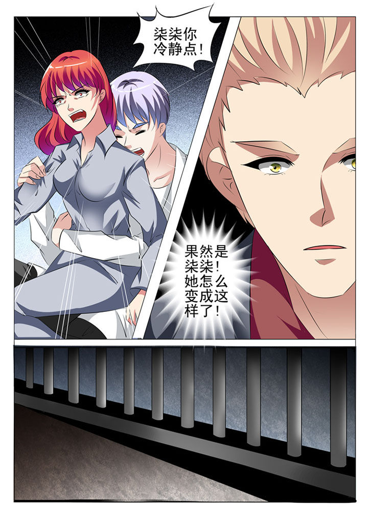 《豪门刺客》漫画最新章节第81章：免费下拉式在线观看章节第【4】张图片