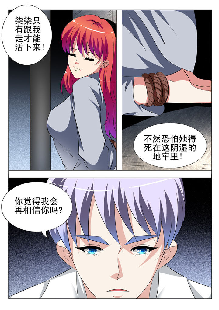 《豪门刺客》漫画最新章节第81章：免费下拉式在线观看章节第【3】张图片