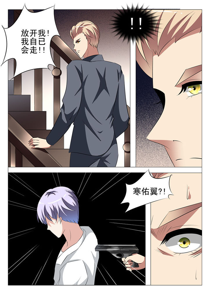 《豪门刺客》漫画最新章节第81章：免费下拉式在线观看章节第【11】张图片