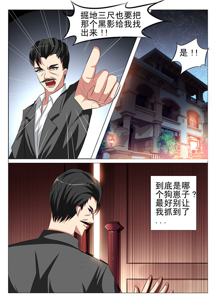 《豪门刺客》漫画最新章节第83章：免费下拉式在线观看章节第【10】张图片