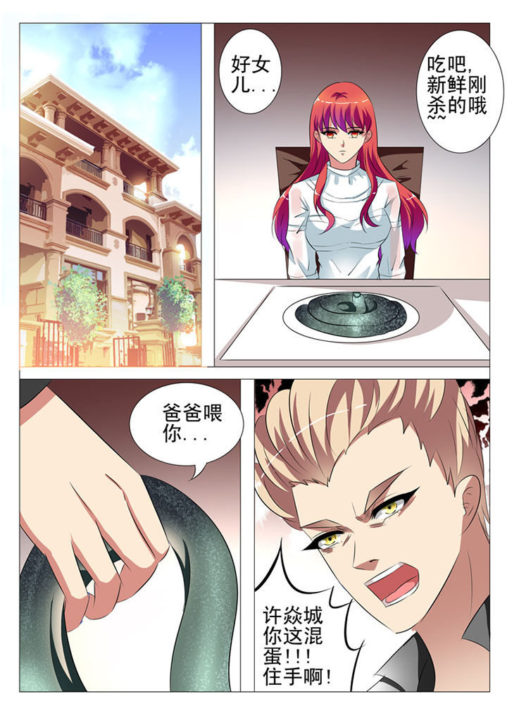 《豪门刺客》漫画最新章节第84章：免费下拉式在线观看章节第【4】张图片