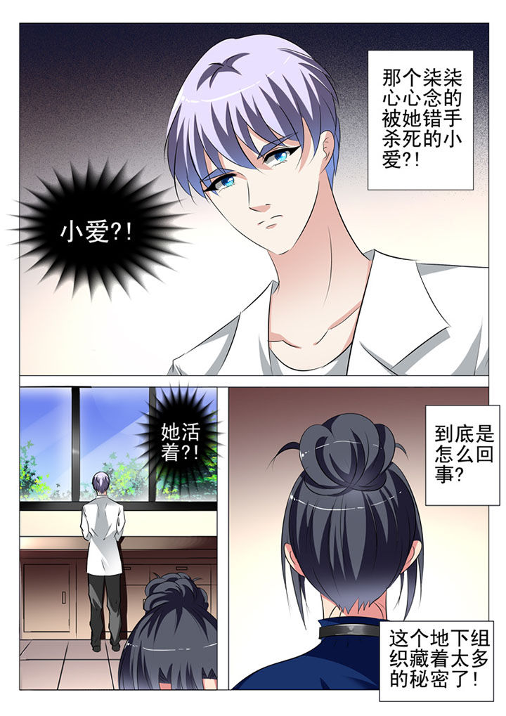 《豪门刺客》漫画最新章节第85章：免费下拉式在线观看章节第【15】张图片