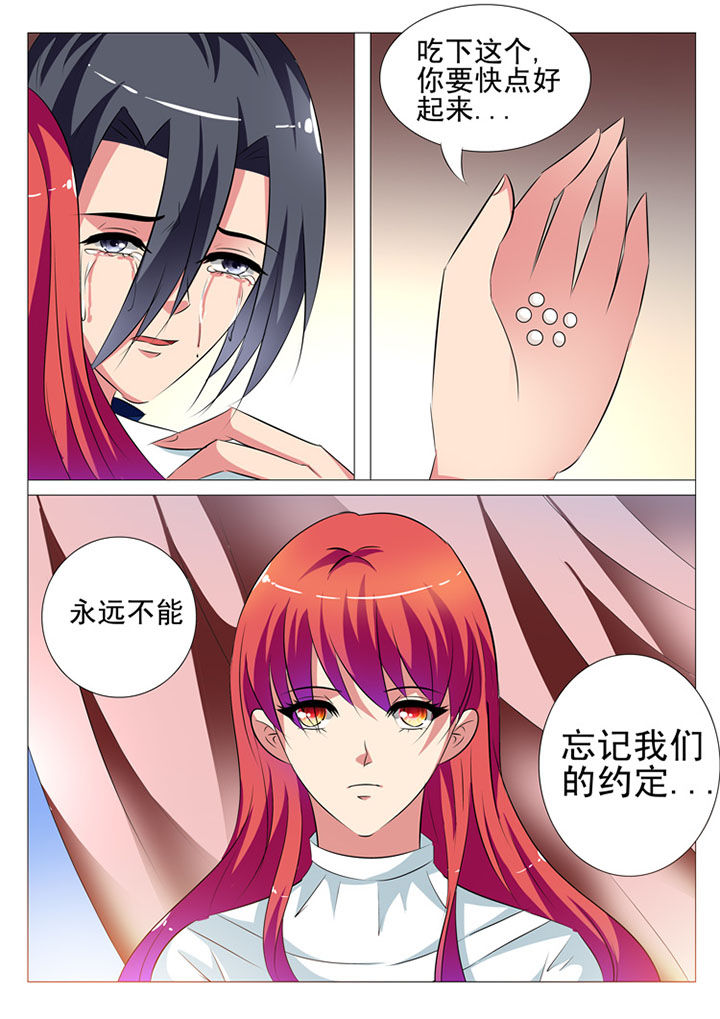 《豪门刺客》漫画最新章节第86章：免费下拉式在线观看章节第【6】张图片