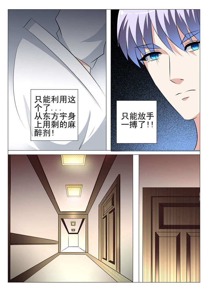 《豪门刺客》漫画最新章节第91章：免费下拉式在线观看章节第【6】张图片