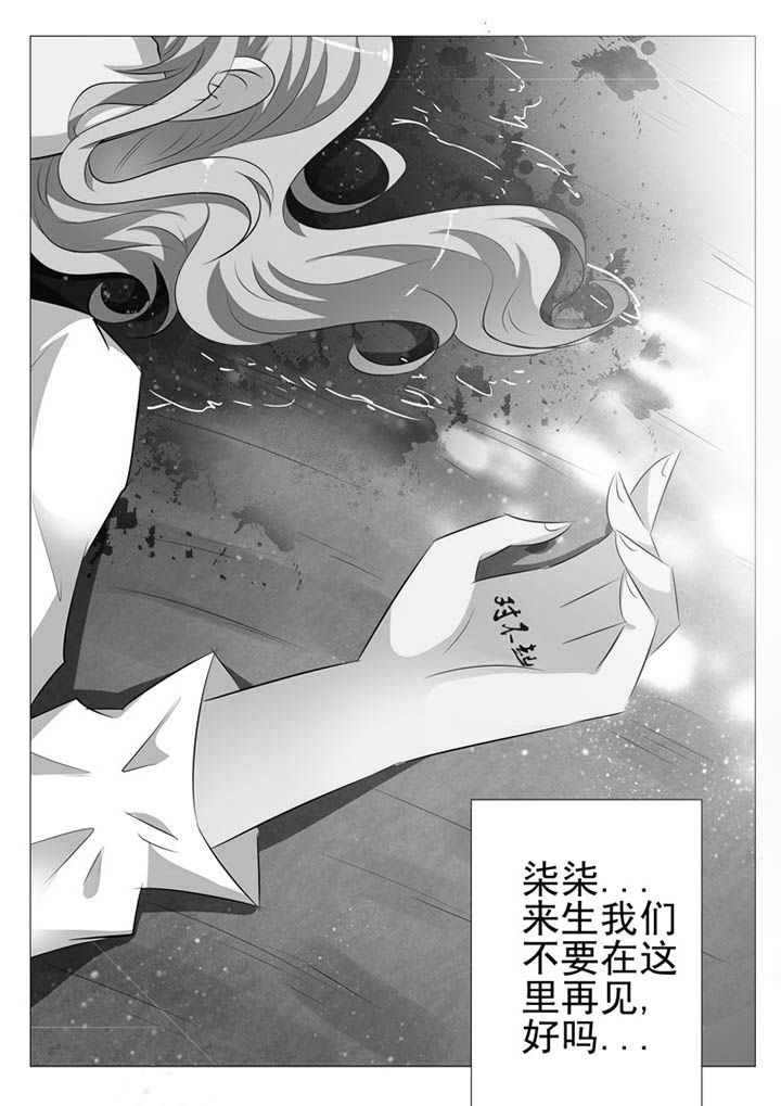 《豪门刺客》漫画最新章节第103章：免费下拉式在线观看章节第【1】张图片