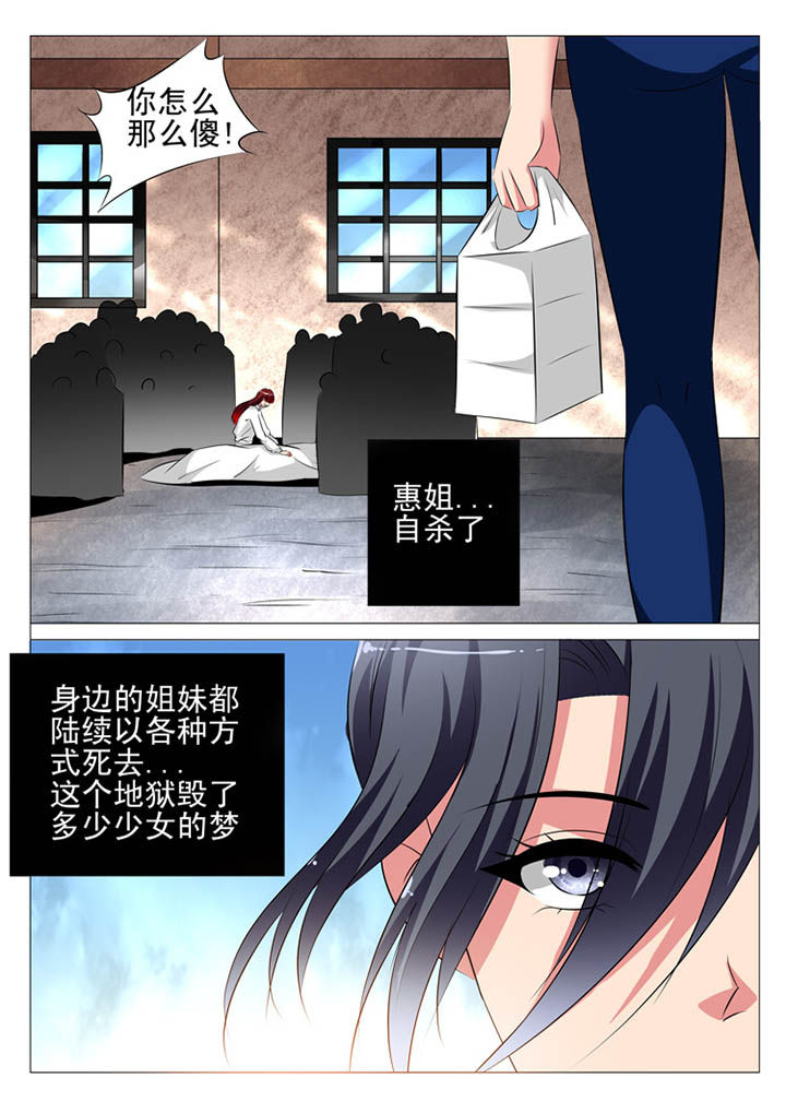 《豪门刺客》漫画最新章节第104章：免费下拉式在线观看章节第【10】张图片