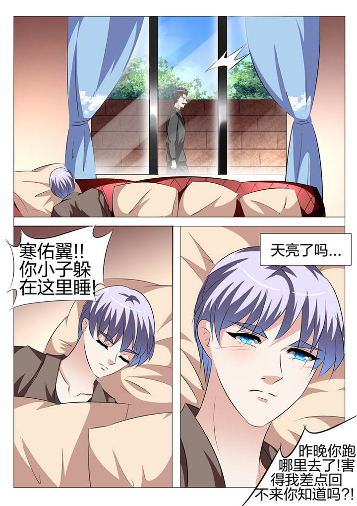 《豪门刺客》漫画最新章节第117章：免费下拉式在线观看章节第【6】张图片