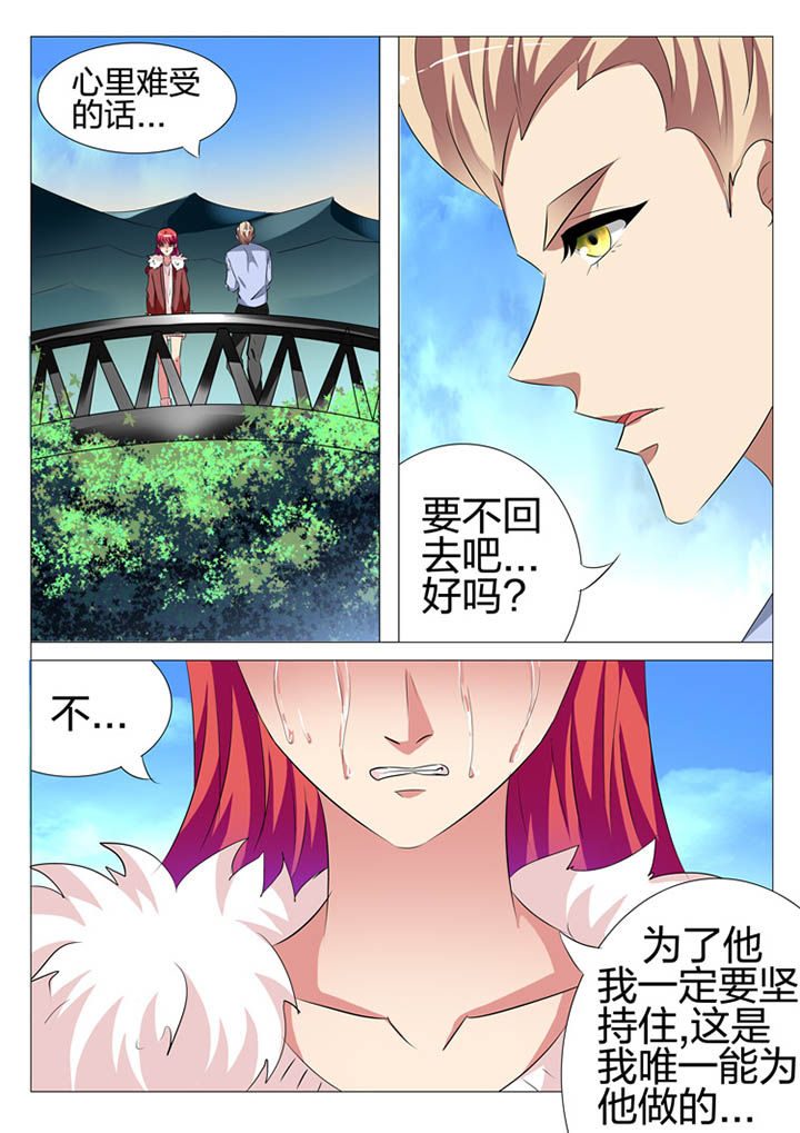 《豪门刺客》漫画最新章节第119章：免费下拉式在线观看章节第【13】张图片