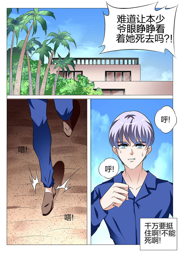 《豪门刺客》漫画最新章节第134章：免费下拉式在线观看章节第【12】张图片