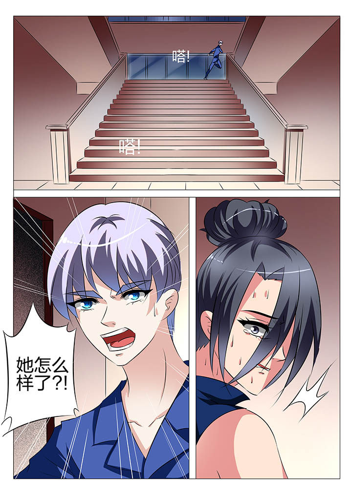 《豪门刺客》漫画最新章节第134章：免费下拉式在线观看章节第【11】张图片