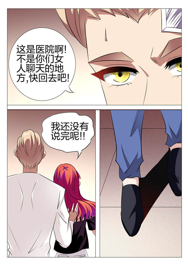 《豪门刺客》漫画最新章节第140章：免费下拉式在线观看章节第【16】张图片