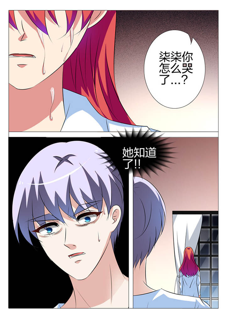 《豪门刺客》漫画最新章节第142章：免费下拉式在线观看章节第【5】张图片