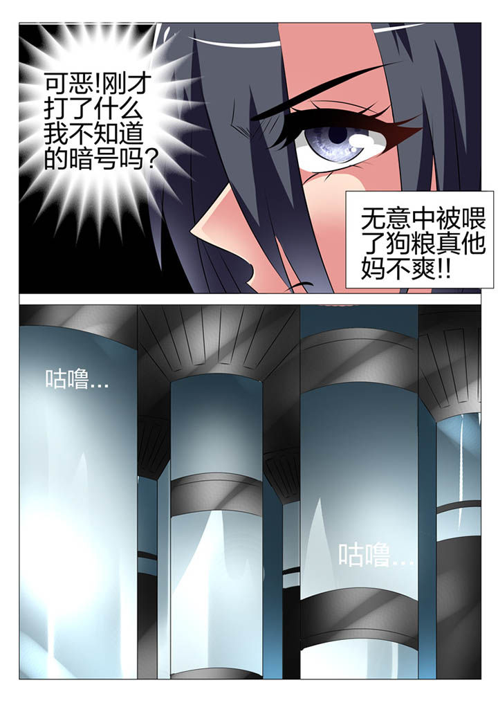 《豪门刺客》漫画最新章节第148章：免费下拉式在线观看章节第【3】张图片