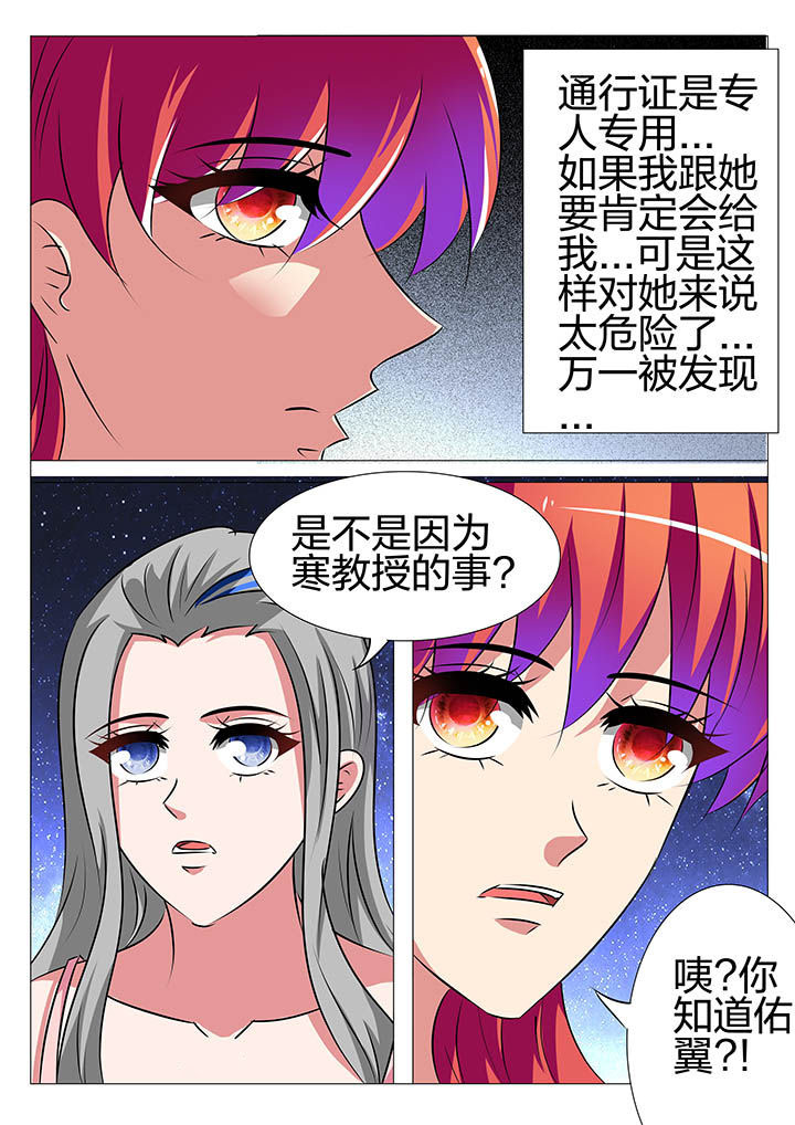 《豪门刺客》漫画最新章节第151章：免费下拉式在线观看章节第【5】张图片