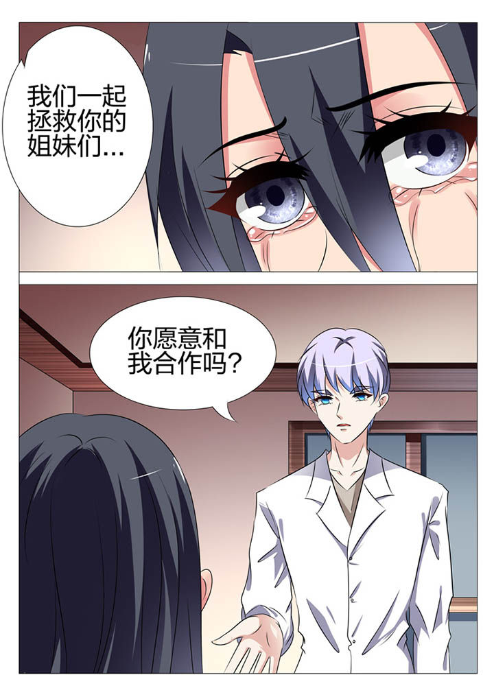 《豪门刺客》漫画最新章节第160章：免费下拉式在线观看章节第【4】张图片