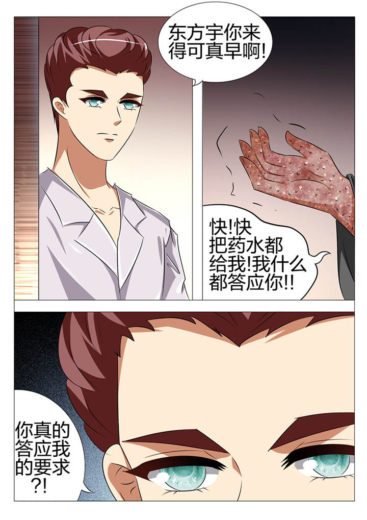 《豪门刺客》漫画最新章节第165章：免费下拉式在线观看章节第【5】张图片