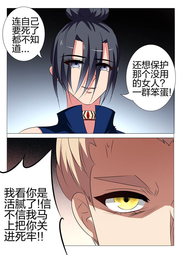 《豪门刺客》漫画最新章节第168章：免费下拉式在线观看章节第【17】张图片