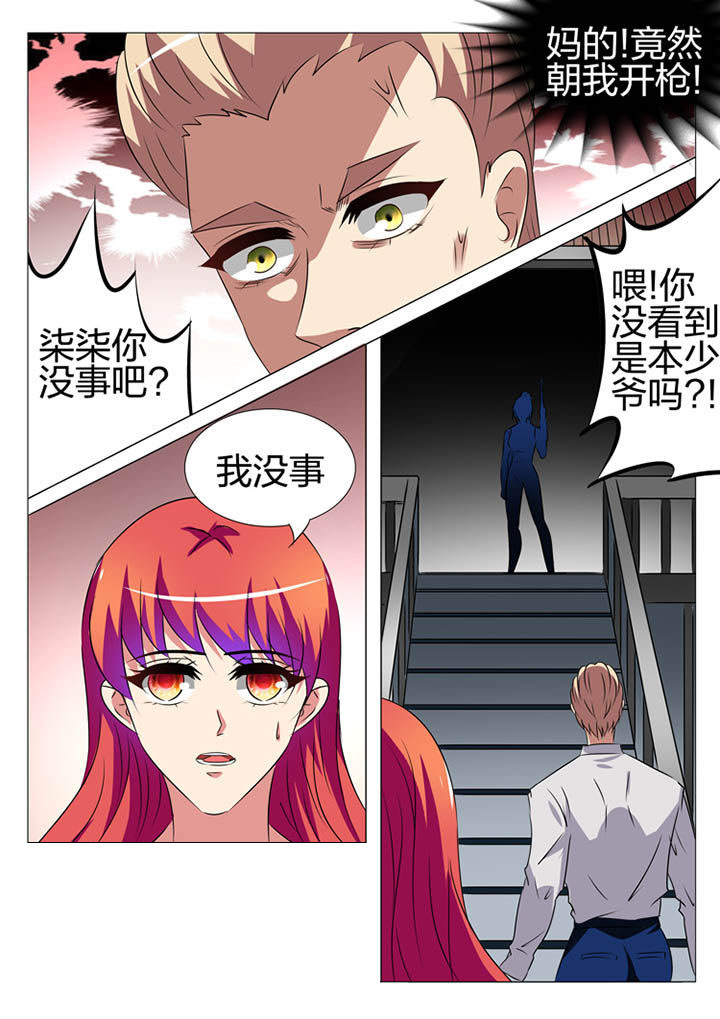 《豪门刺客》漫画最新章节第168章：免费下拉式在线观看章节第【20】张图片