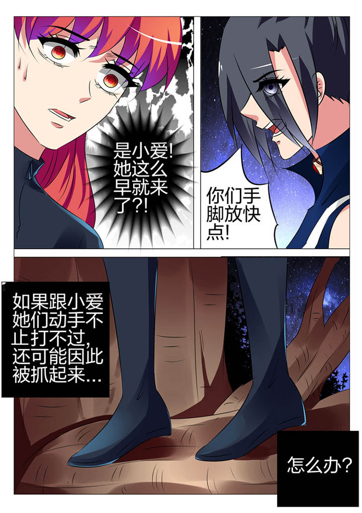 《豪门刺客》漫画最新章节第169章：免费下拉式在线观看章节第【9】张图片