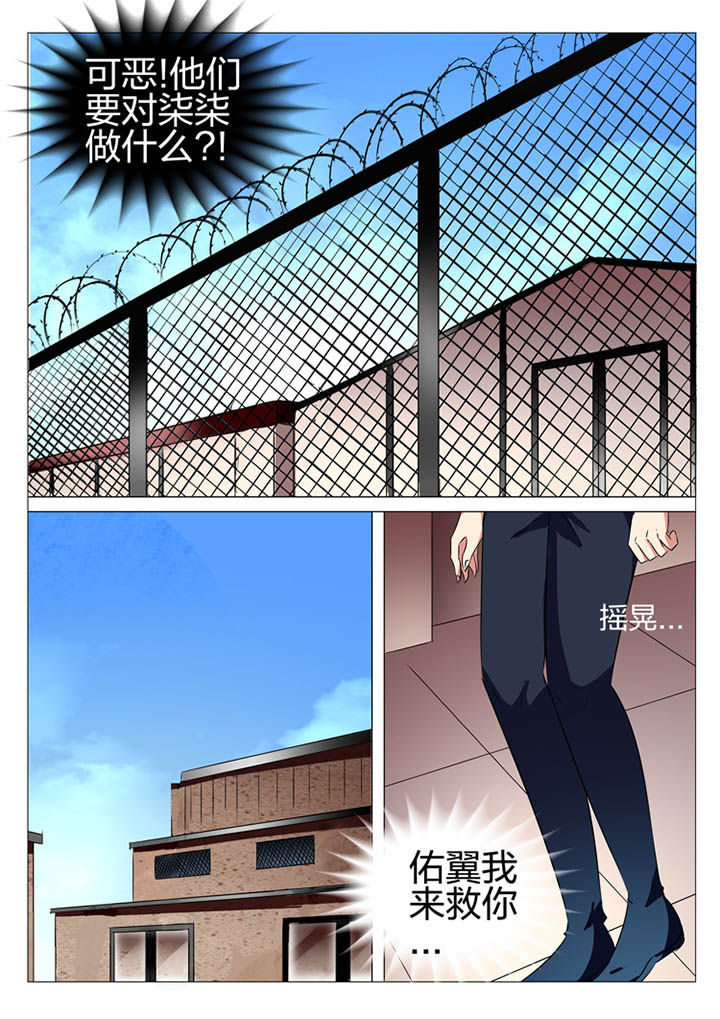 《豪门刺客》漫画最新章节第172章：免费下拉式在线观看章节第【13】张图片