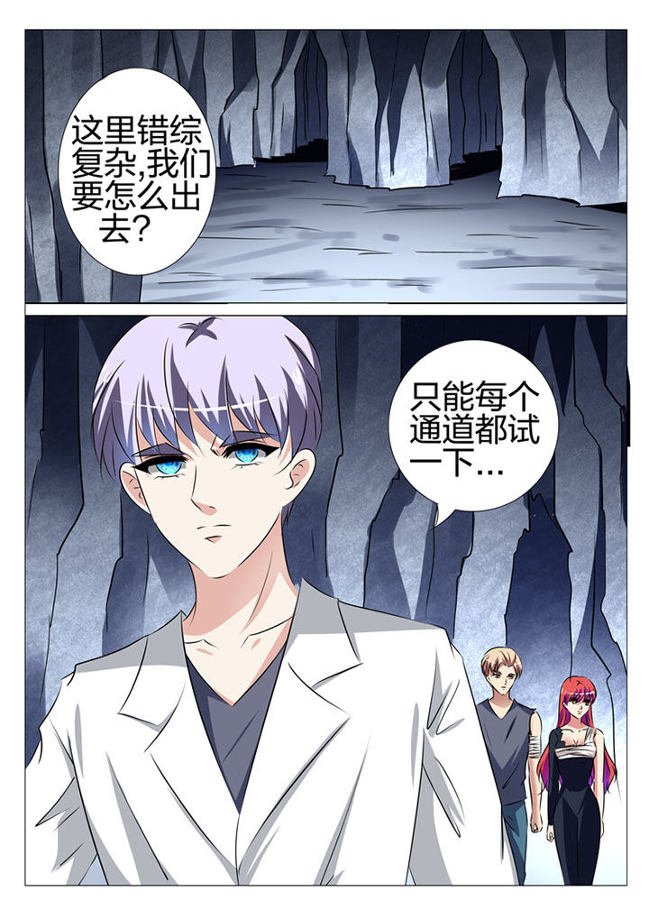 《豪门刺客》漫画最新章节第176章：免费下拉式在线观看章节第【14】张图片