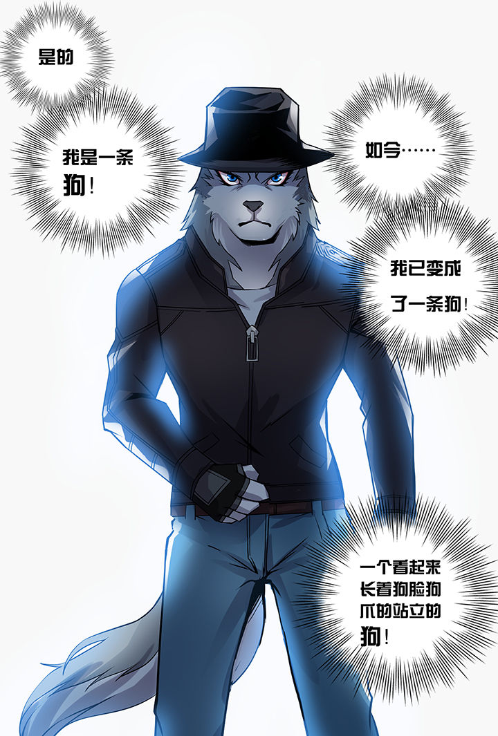 《猫侦探》漫画最新章节第1章：免费下拉式在线观看章节第【11】张图片