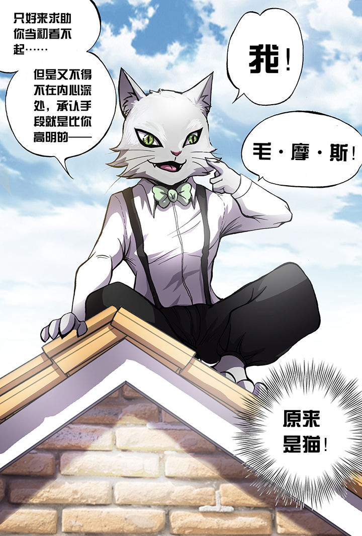 《猫侦探》漫画最新章节第5章：免费下拉式在线观看章节第【9】张图片