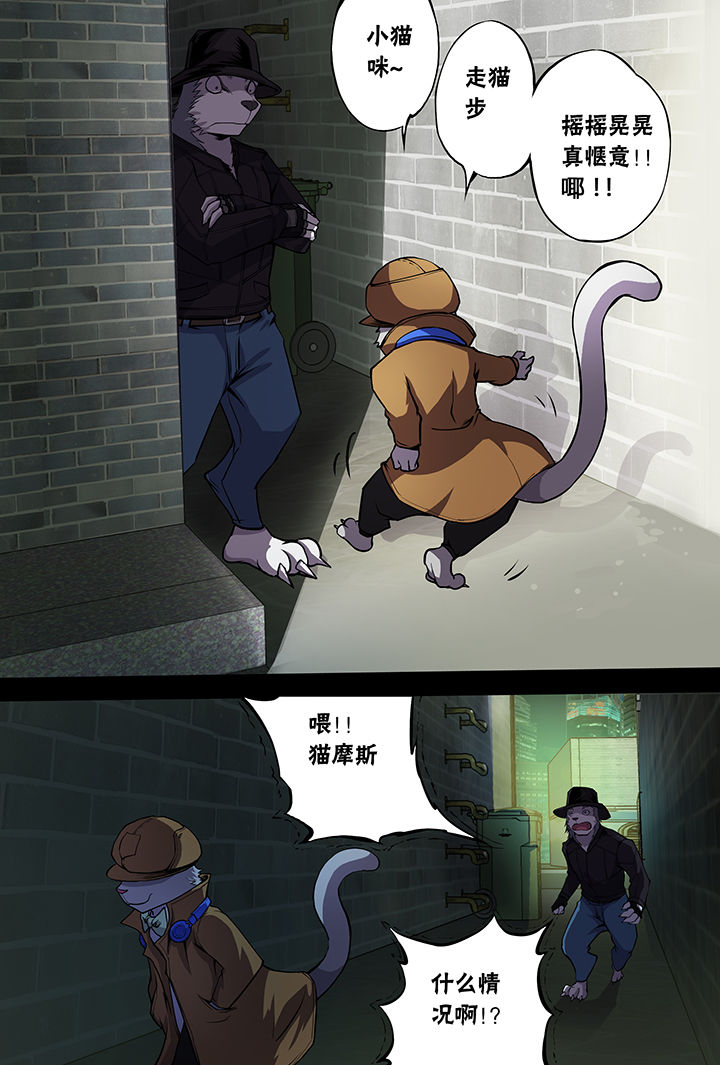 《猫侦探》漫画最新章节第6章：免费下拉式在线观看章节第【3】张图片