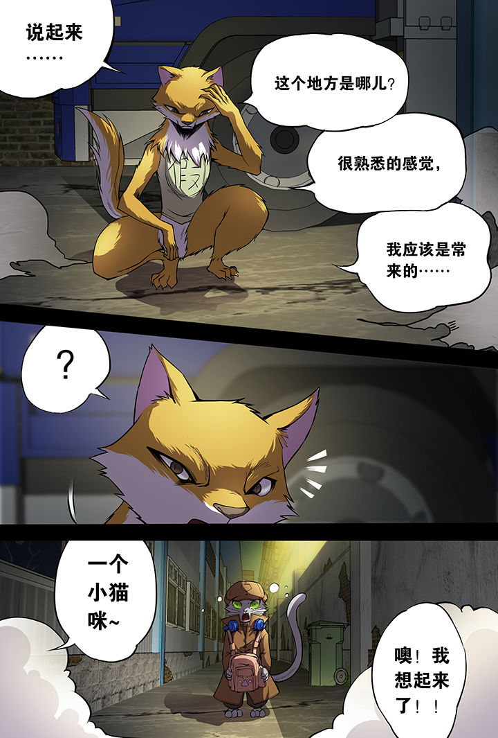 《猫侦探》漫画最新章节第8章：免费下拉式在线观看章节第【5】张图片