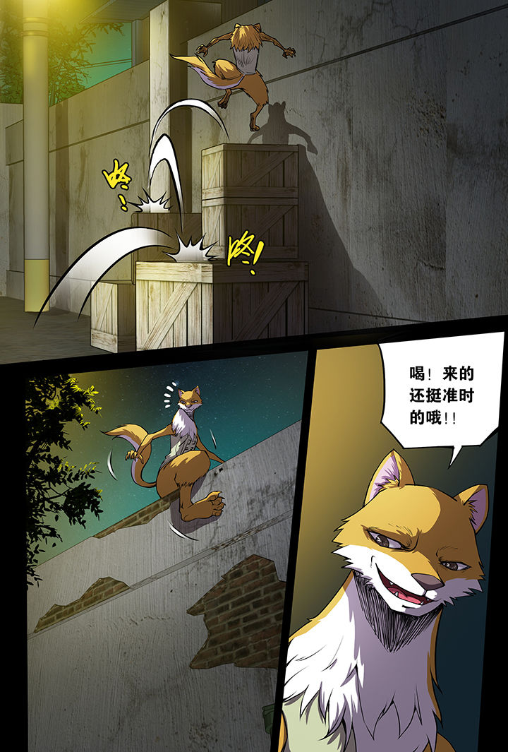 《猫侦探》漫画最新章节第8章：免费下拉式在线观看章节第【16】张图片