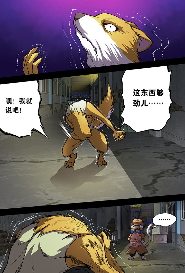 《猫侦探》漫画最新章节第8章：免费下拉式在线观看章节第【11】张图片