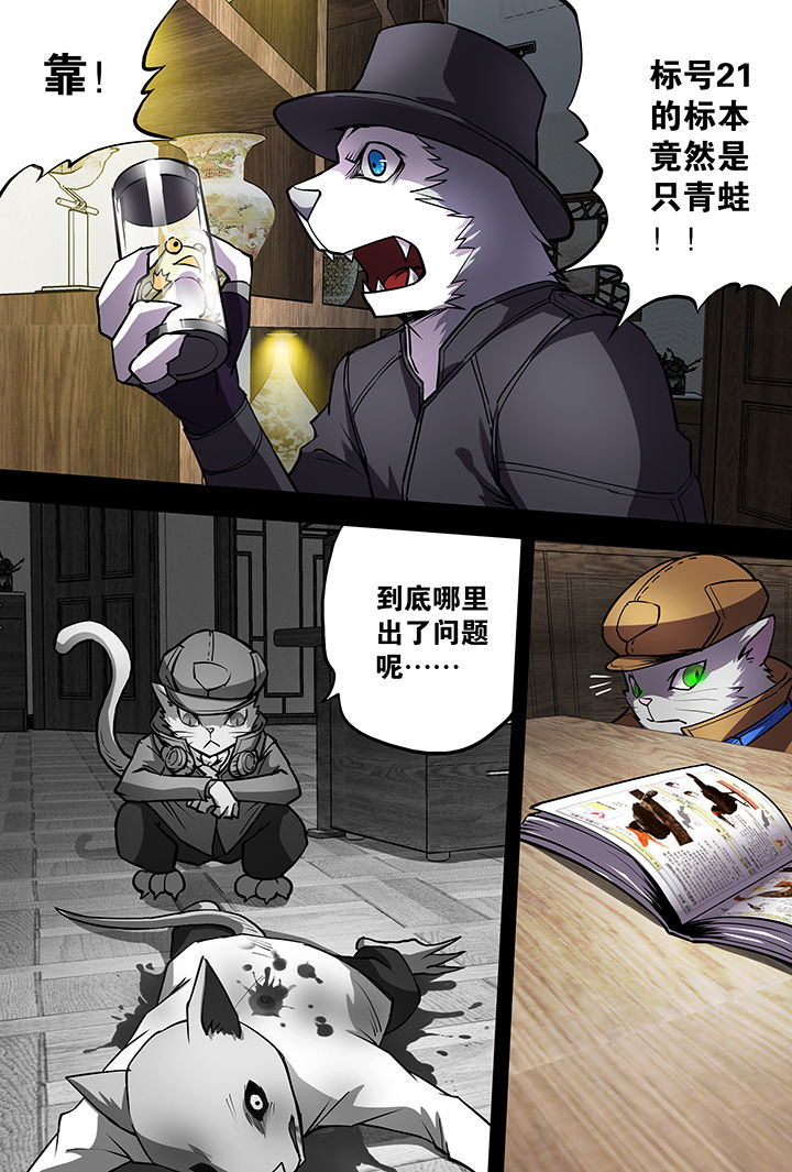 《猫侦探》漫画最新章节第10章：免费下拉式在线观看章节第【3】张图片