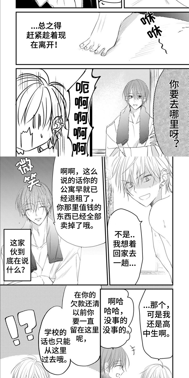 《以己抵债》漫画最新章节第3章：安排免费下拉式在线观看章节第【7】张图片