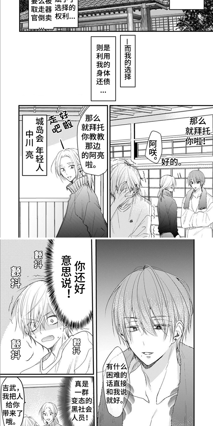 《以己抵债》漫画最新章节第3章：安排免费下拉式在线观看章节第【5】张图片