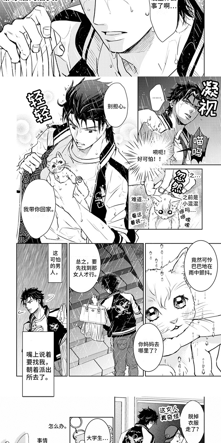 《猫女报恩》漫画最新章节第2章：变身免费下拉式在线观看章节第【6】张图片