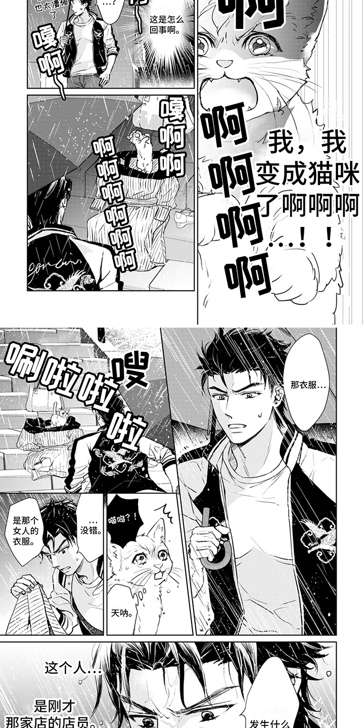 《猫女报恩》漫画最新章节第2章：变身免费下拉式在线观看章节第【7】张图片