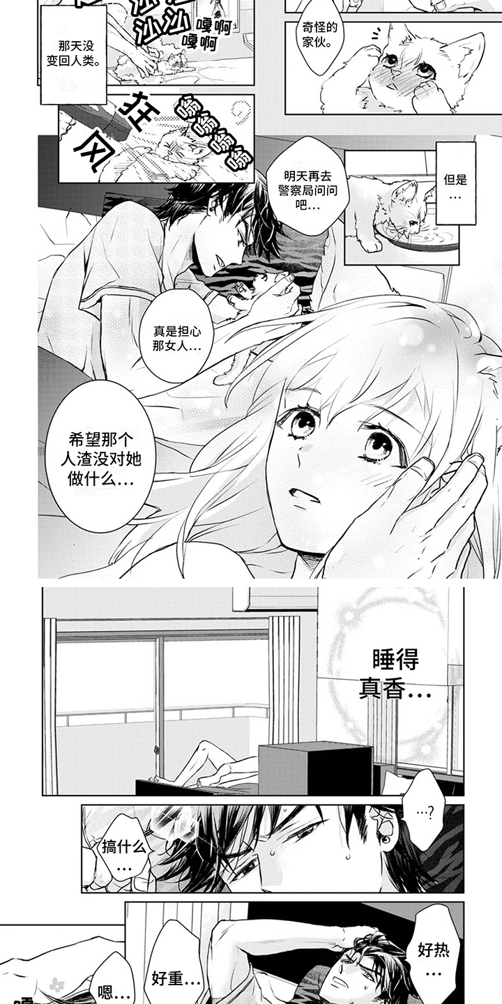 《猫女报恩》漫画最新章节第2章：变身免费下拉式在线观看章节第【3】张图片